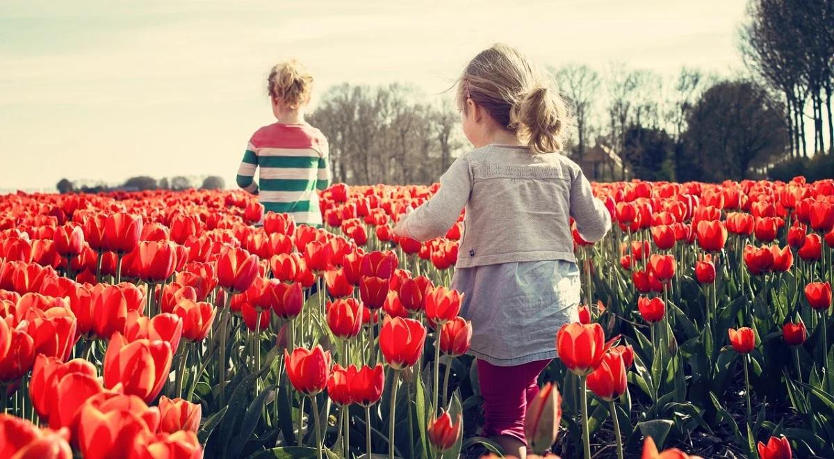 Dzieci z kwiatami i wśród kwiatów