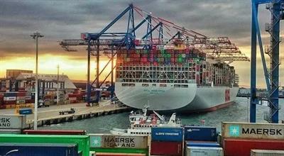 Port kontenerowy w Świnoujściu. Niemcy widzą kolejne zagrożenia, rosną obawy o bezpieczeństwo