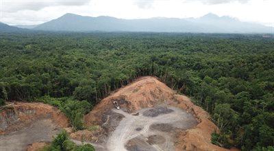 Czy Amazonia zamieni się w sawannę?