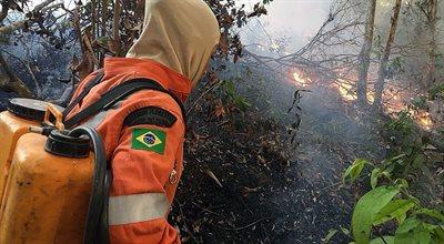 Brazylia wysyła wojsko do walki z pożarami w Amazonii