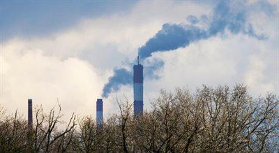 Nowe normy emisji CO2 uchwalone przez Parlament Europejski. Ceny energii nie wzrosną