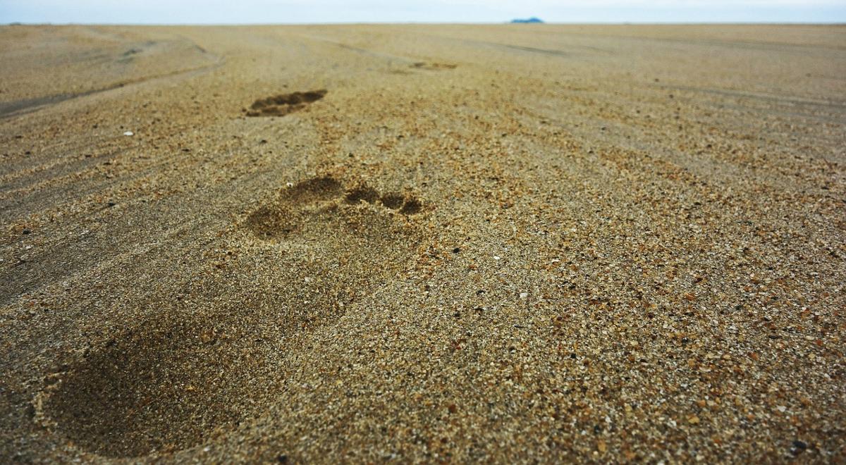 Dlaczego na mokrym piasku ślady stóp są wyraźniejsze?