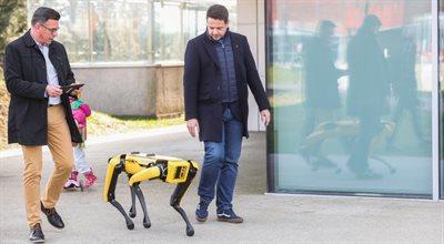 W Centrum Nauki Kopernik zaprezentowano psa robota Spota