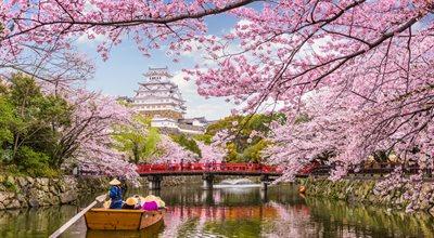 Sakura, sztuka i noc - dzieje się kulturalnie
