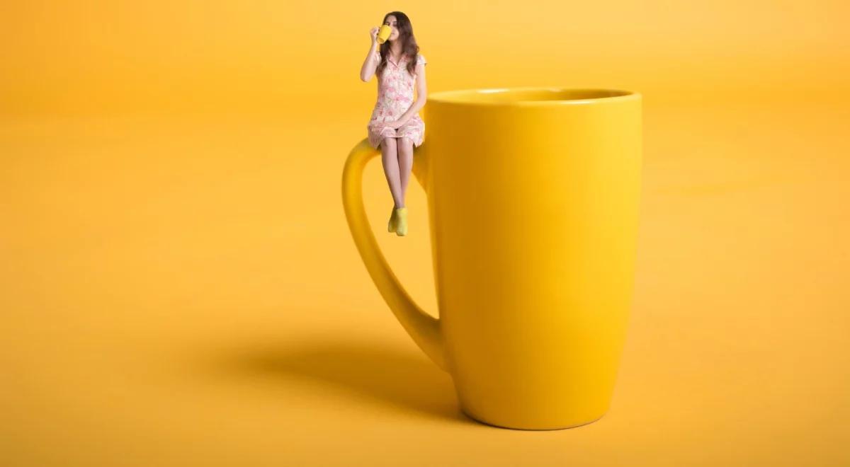 Jak działa na nas kolor pomarańczowy? Wystawa "Spektrum światła/Ekspozycja na kolor" we Wrocławiu