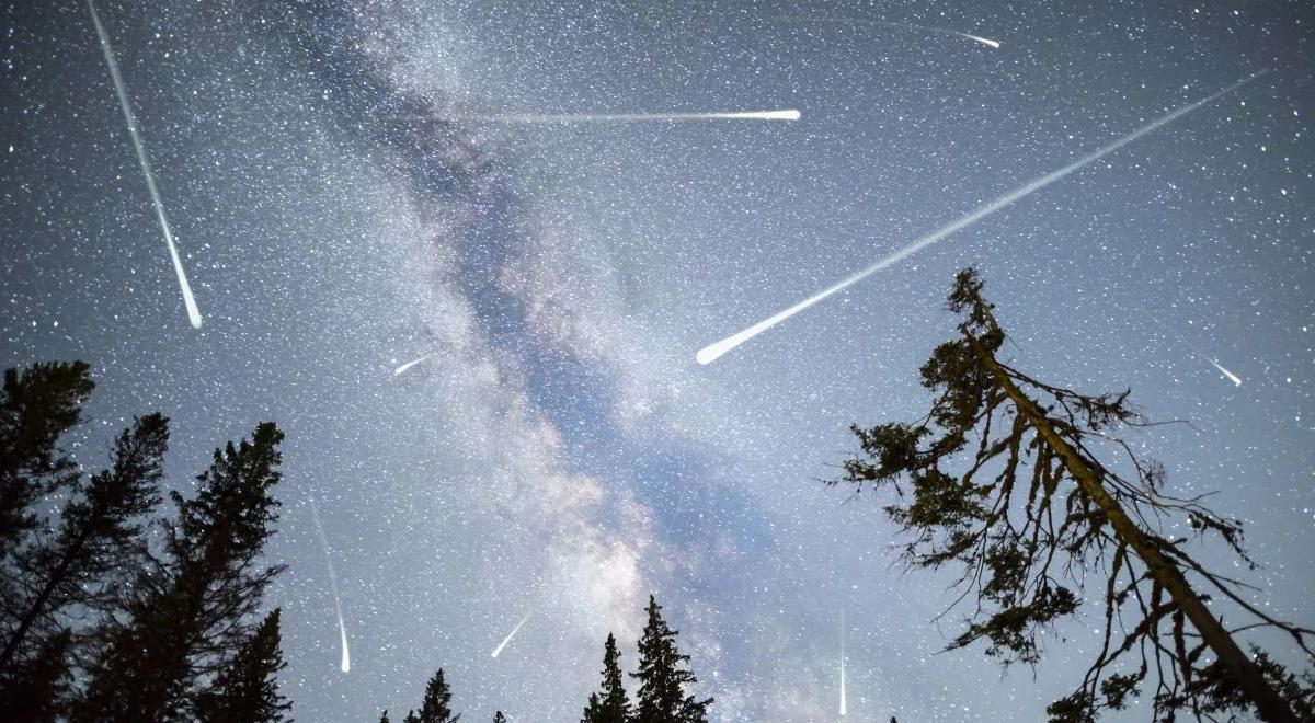 Spektakl na nocnym niebie. Kiedy najlepiej podziwiać deszcz perseidów?