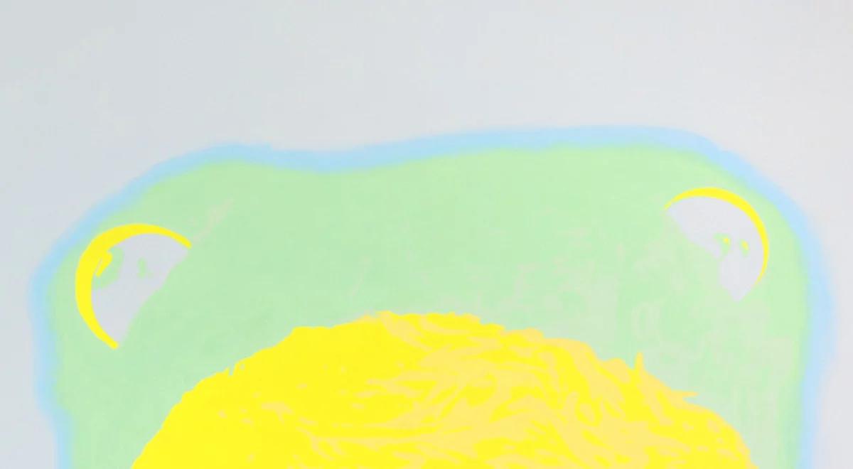 "Przebłysk" Michała Wirtela: kolejna wystawa w CSW Zamek Ujazdowski w ramach {Project Room}