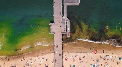 Uwaga plażowicze, sinice w Bałtyku! Sprawdź, gdzie są zamknięte kąpieliska