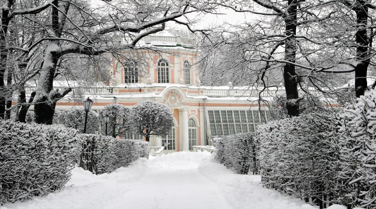 Zimowe ogrody. Podróż do serca Warszawy 