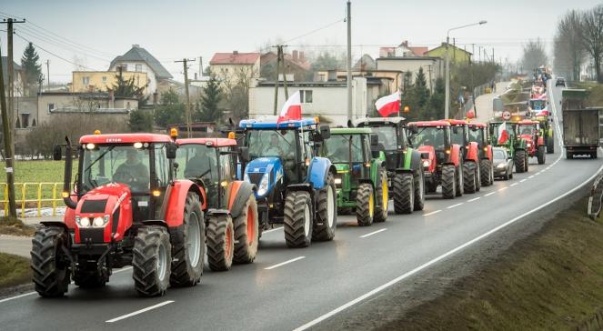 Rolnicy wyjdą na ulice? Miażdżące wyniki sondy 