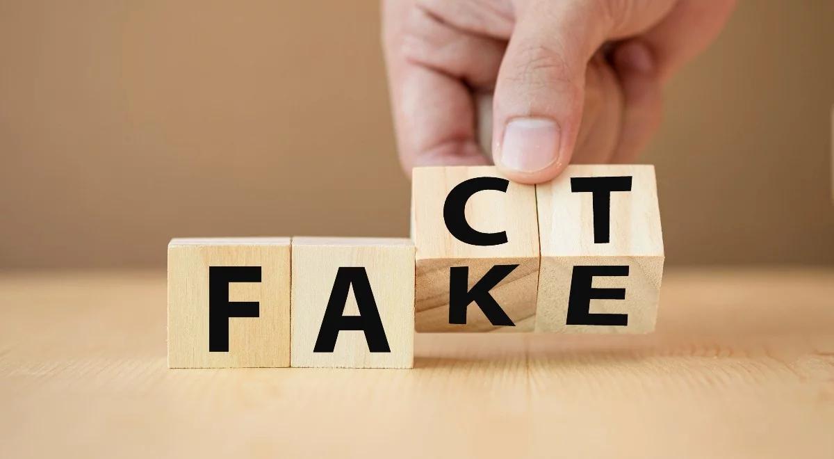 Dezinformacja i sposoby walki z medialną agresją 