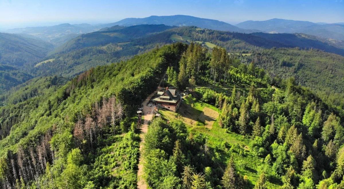 Wyrok TSUE ws. lasów. Fogiel obawia się decyzji "ludzi zajmujących się tematem z doskoku"