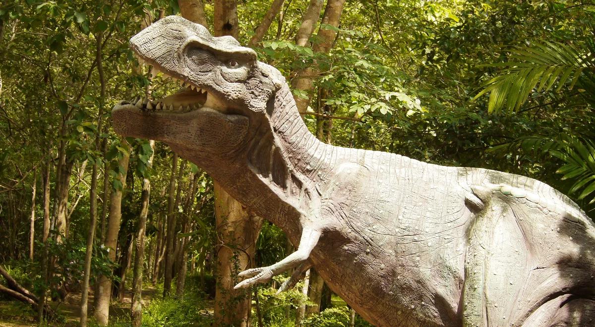 Na co chorowały dinozaury?