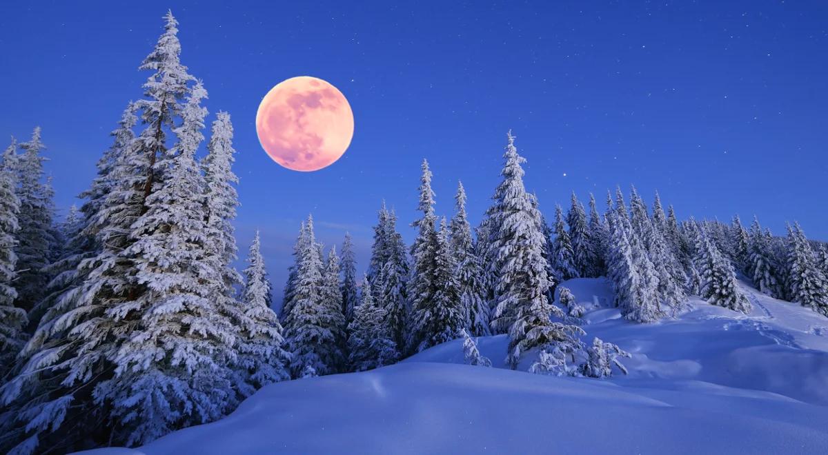 Dlaczego widzimy tylko jedną stronę księżyca? 