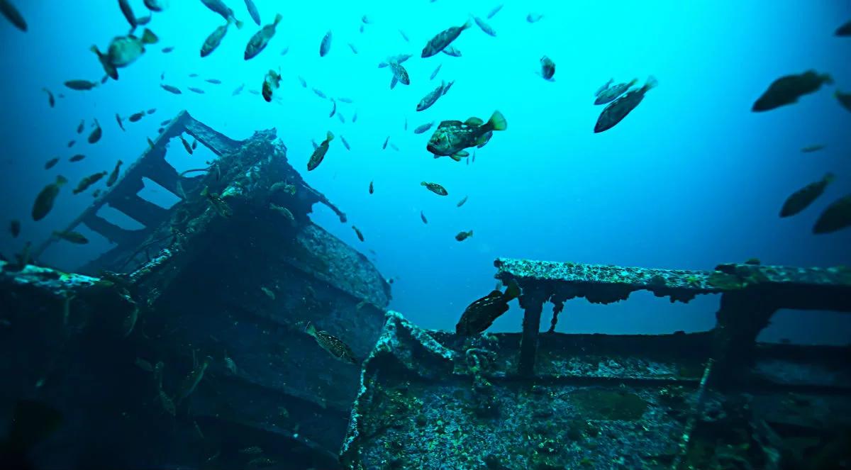 Podwodny skarb - skrzynia wydobyta z wraku niemieckiego parowca. Co skrywa?