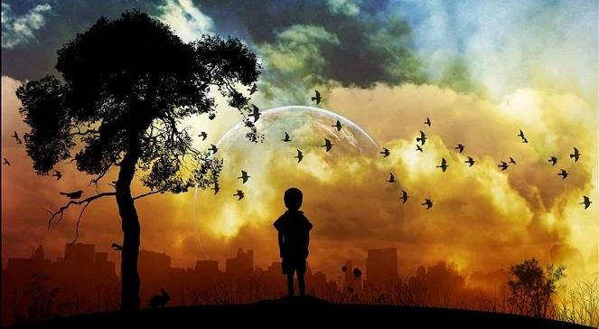 2011: Arabska wiosna i Europa w remoncie