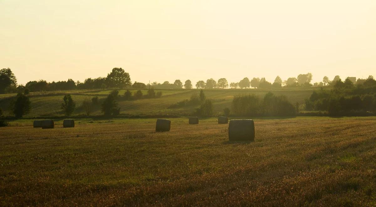 Fest program: Inny wymiar