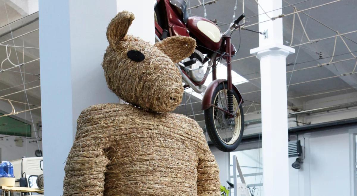 Epizody w filmach Stanisława Barei od kulis