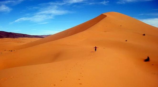 Dziś tylko jedna lista!