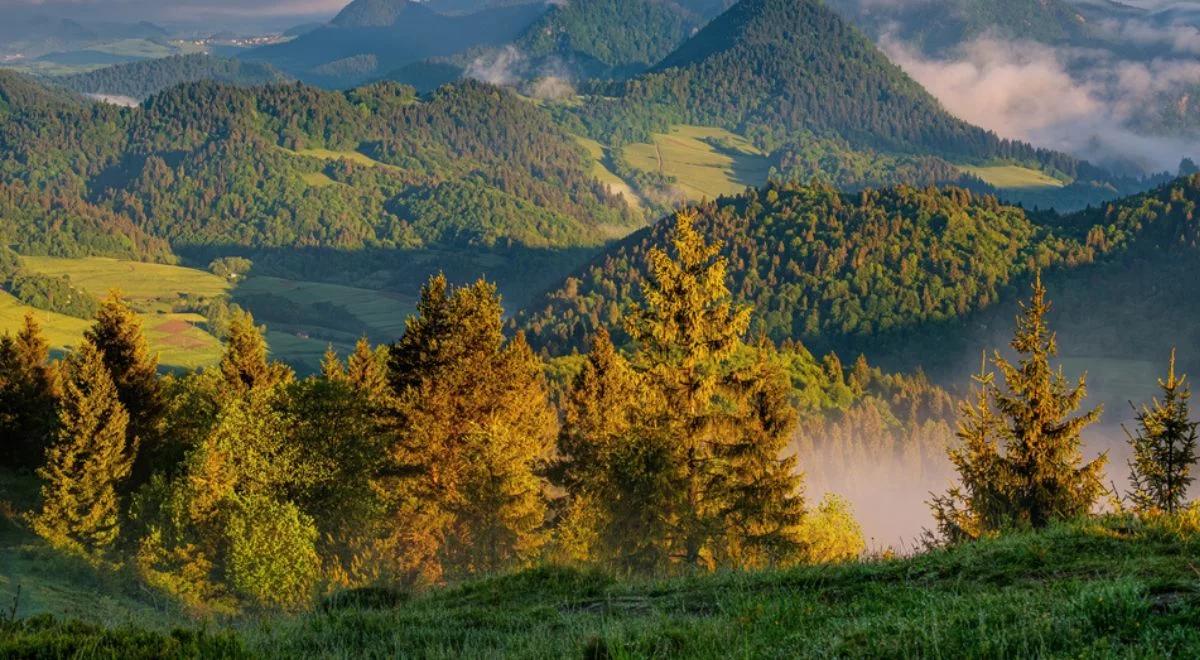 Dlaczego nie powstają kolejne parki narodowe? Czemu Polska głosowała przeciw Nature Restoration Law?