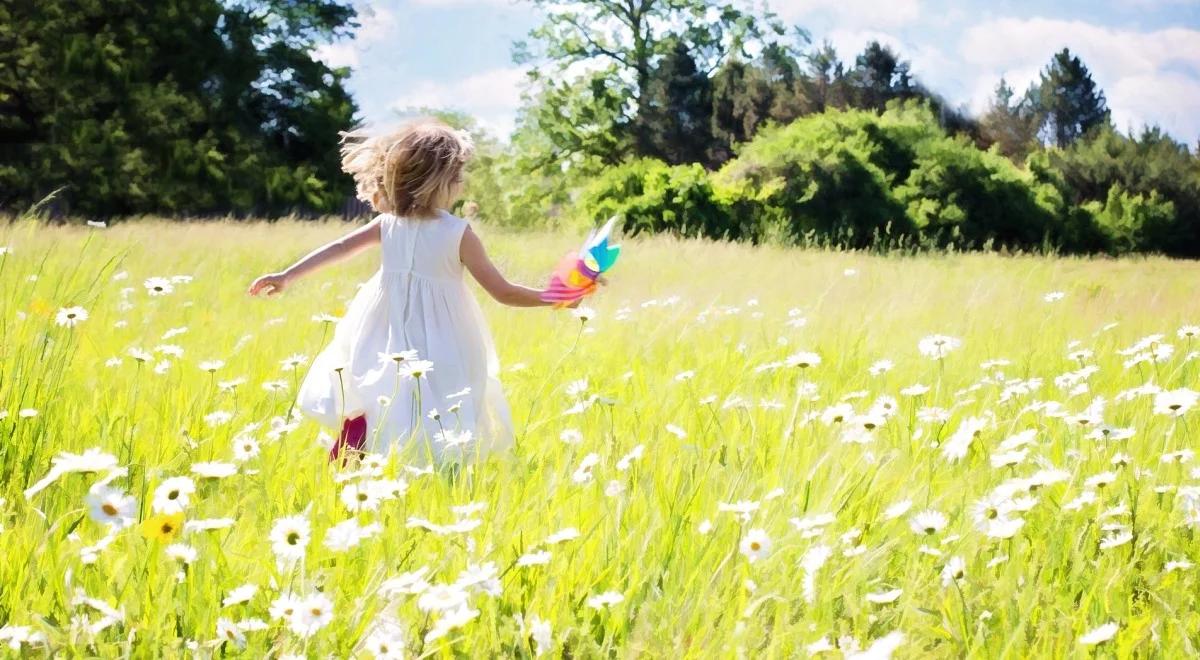 Czapka niewidka i inne czary