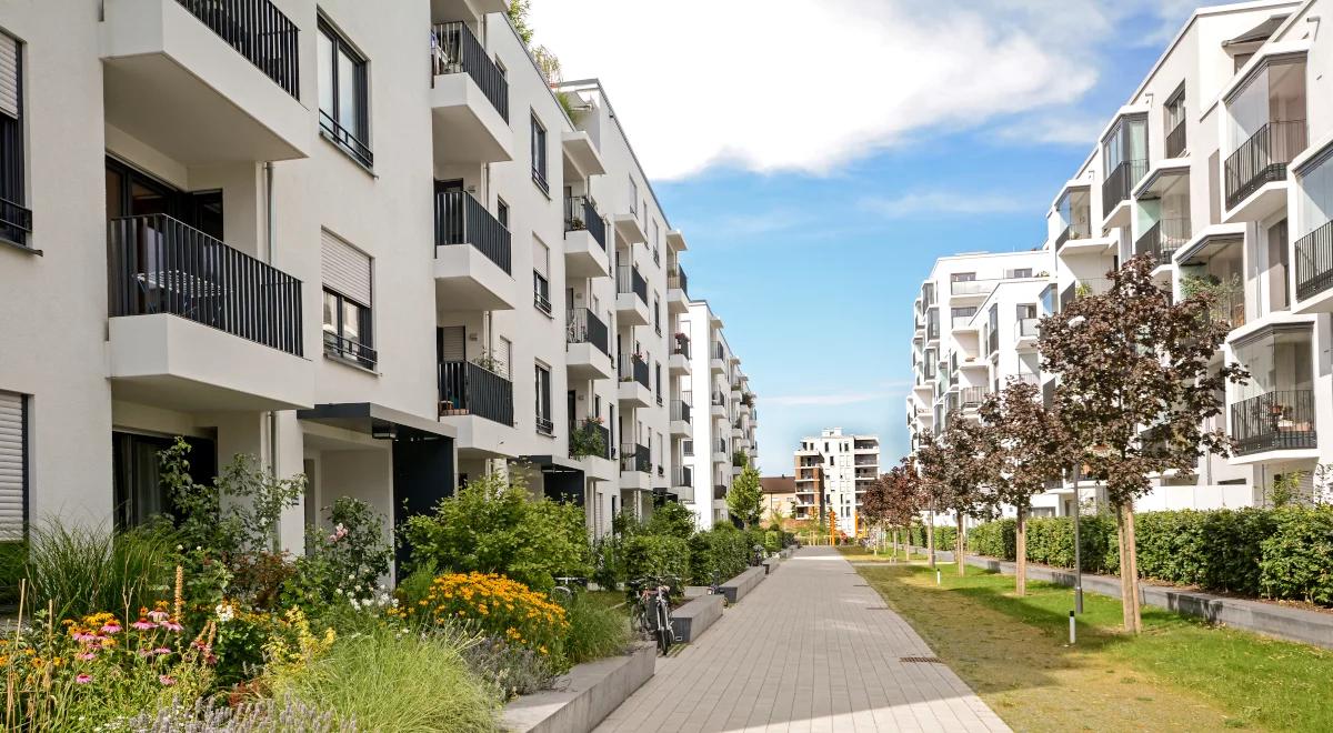 Bloki w środku miasta ogrodu