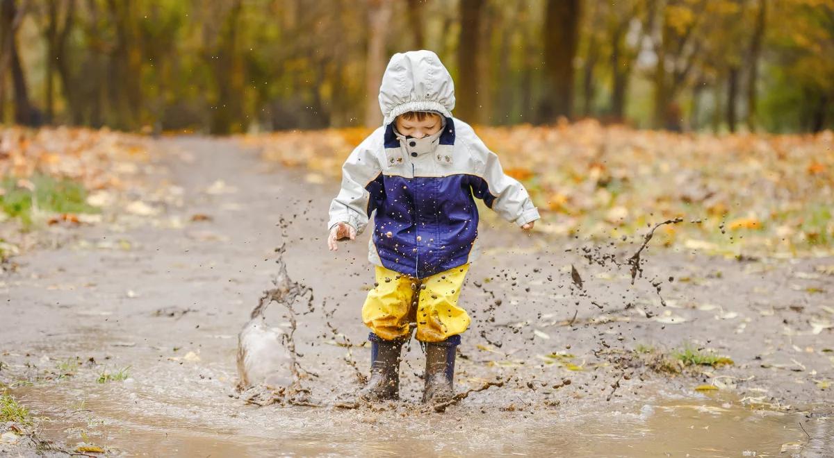 Polscy rodzice pokochali leśne przedszkola?