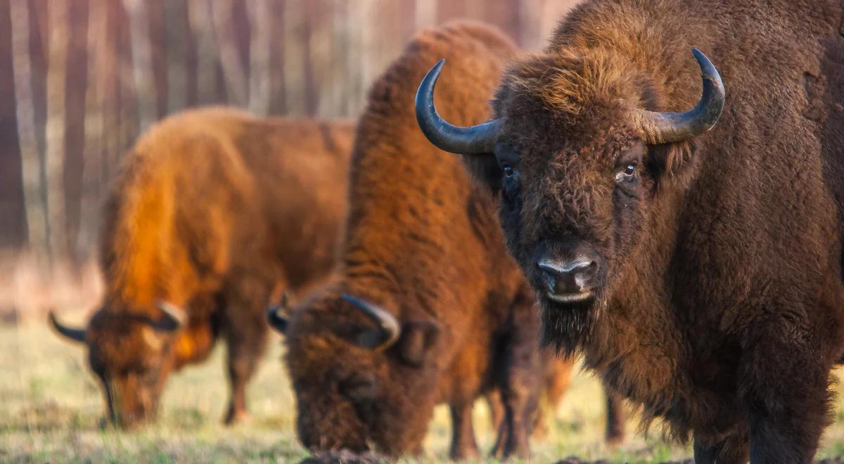 Czy od lipca turyści wrócą do wschodniej Polski?