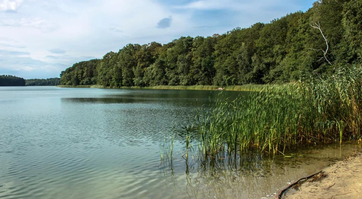 Dzień w Wielkopolskim Parku Narodowym