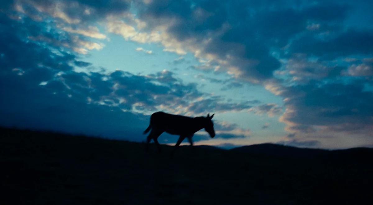 Michał Dymek o szansach "IO" na Oscara: jest mały, skromny, awangardowy, ale porywa ludzi