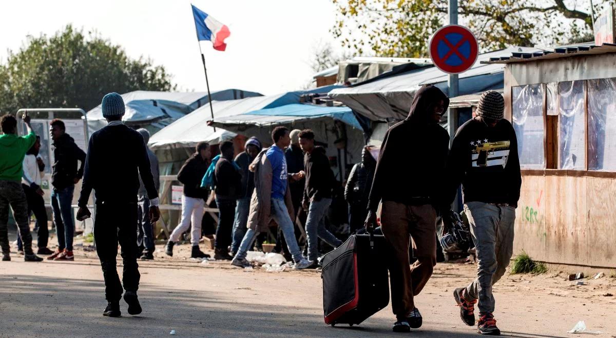 Co dalej z "dżunglą" we francuskim Calais?