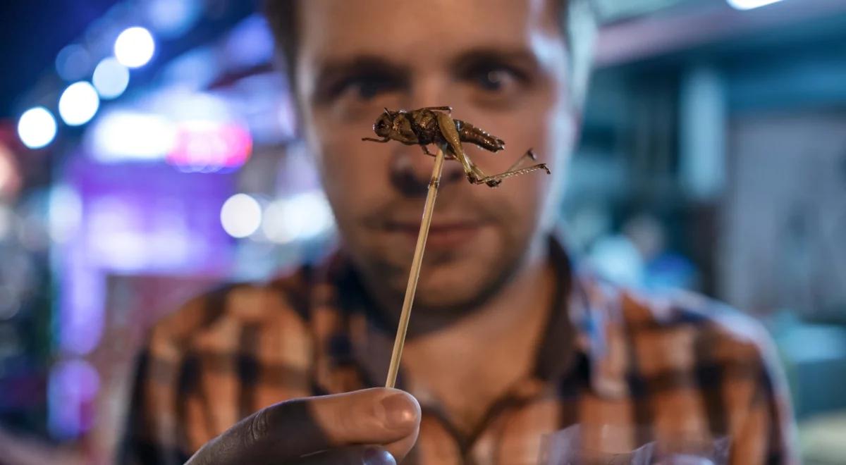 Owady – główny składnik diety przyszłości?