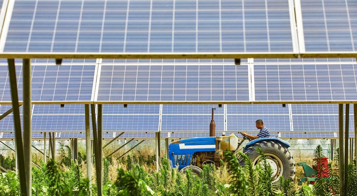 Spółdzielnia energetyczna – jak działa i jakie przynosi korzyści?