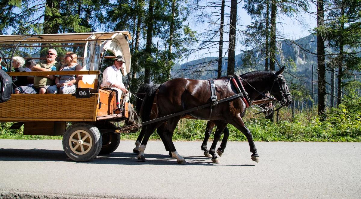 Tylko koni żal [POSŁUCHAJ]