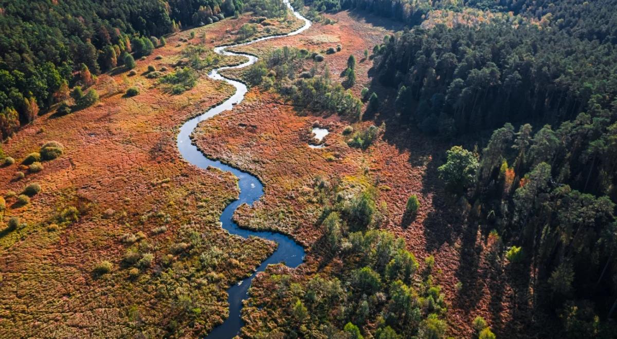 Atrakcje Kociewia: zamek w Gniewie, katedra w Pelplinie i Arboretum 