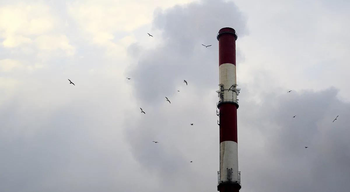 O samotności w blokowisku. Nowa powieść Sylwii Chutnik