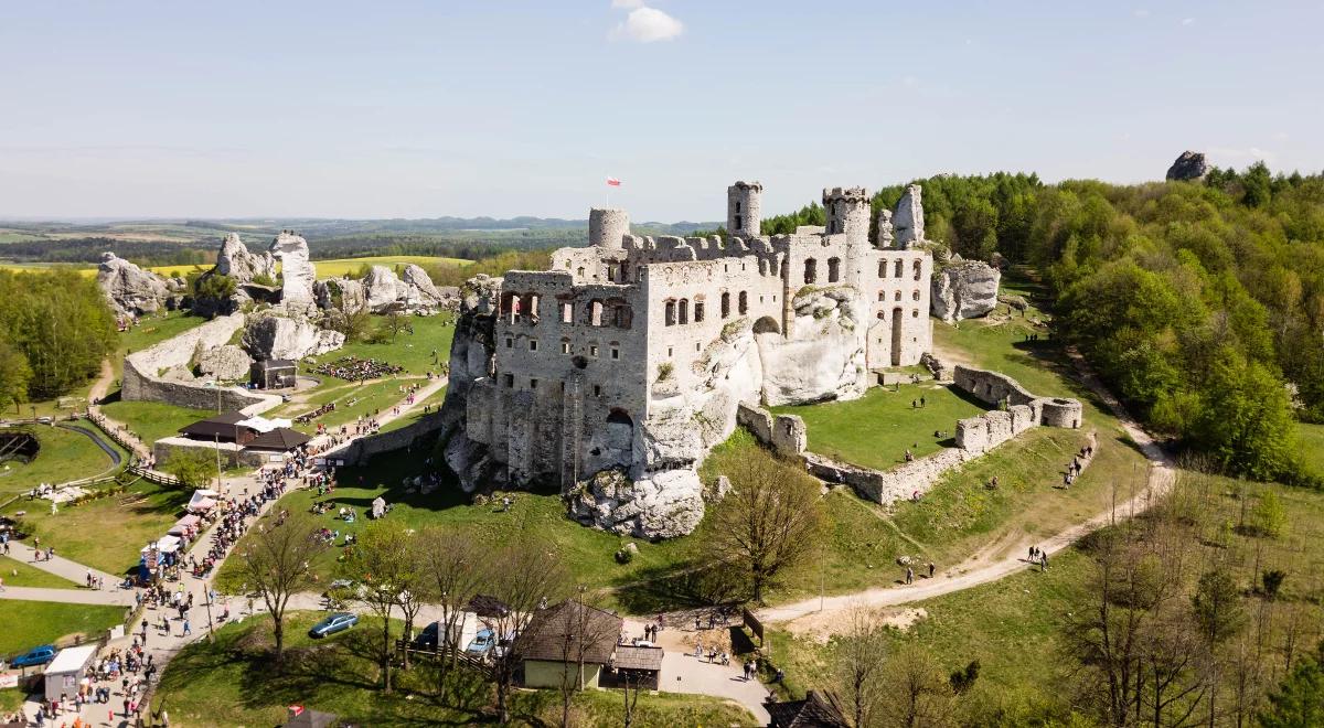 Historia, o którą można się potknąć