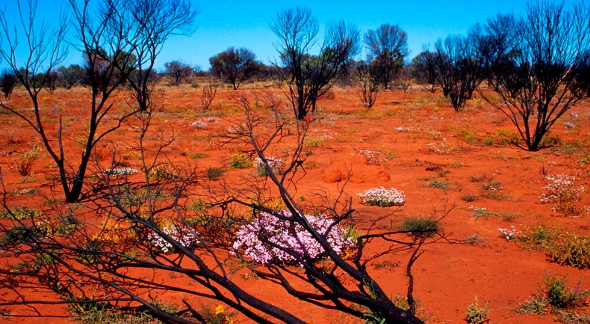 Azja, Australia, Antarktyda, czyli życie w podróży