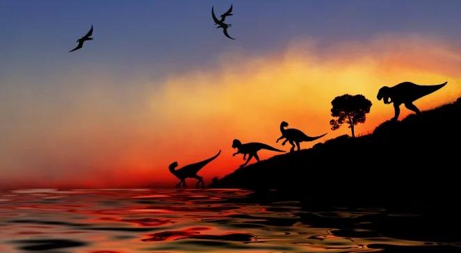 Kopalniane El Dorado w Polsce