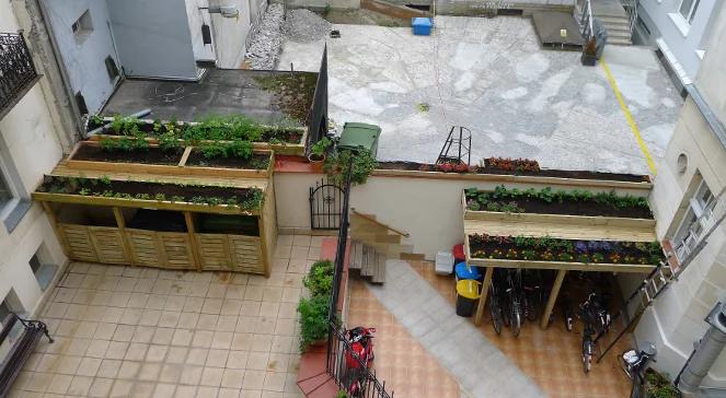 Senat, warszawiacy i zielona partyzantka