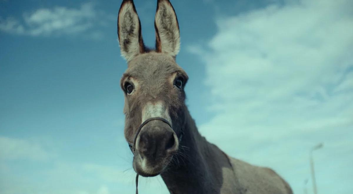 "Io" Jerzego Skolimowskiego z 11 nominacjami do Polskich Nagród Filmowych