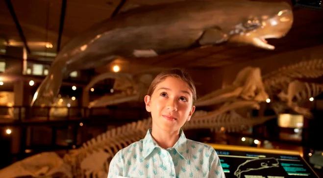 eduBudzik: dzieciaki da się pozytywnie nakręcić na wiedzę