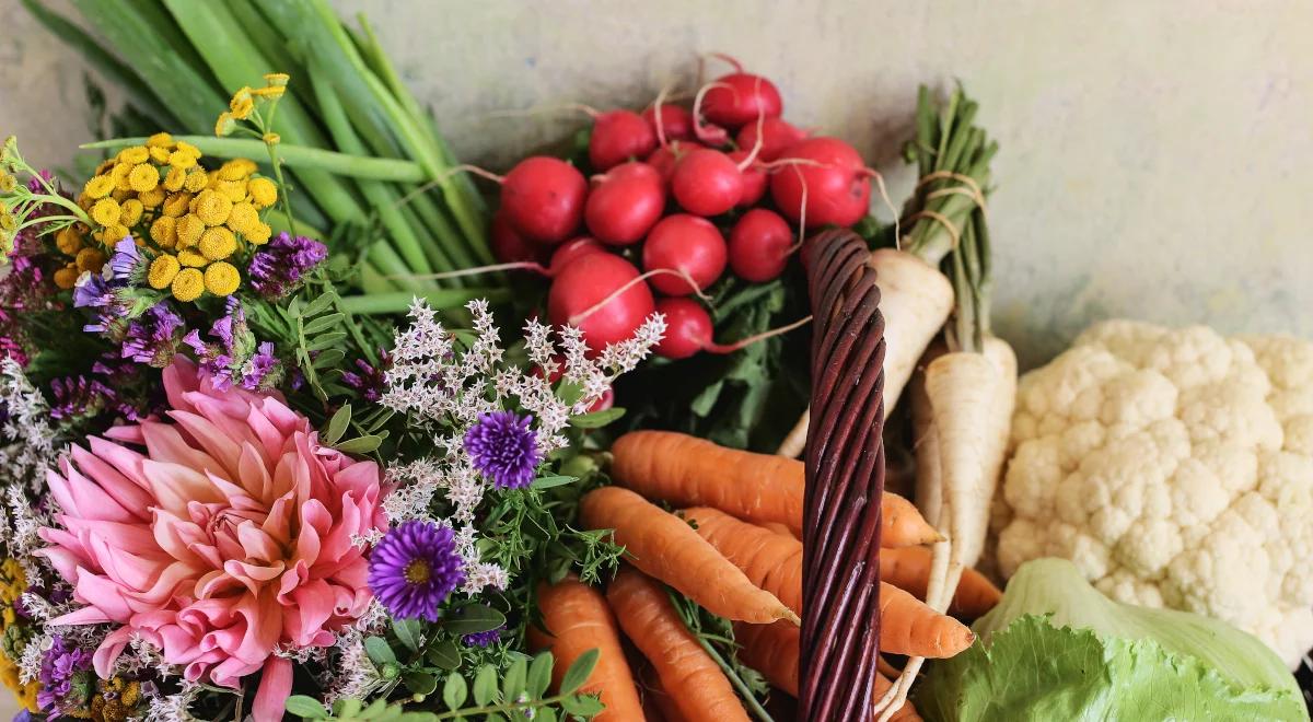 46. Skierniewickie Święto Kwiatów, Owoców i Warzyw w Trójce 