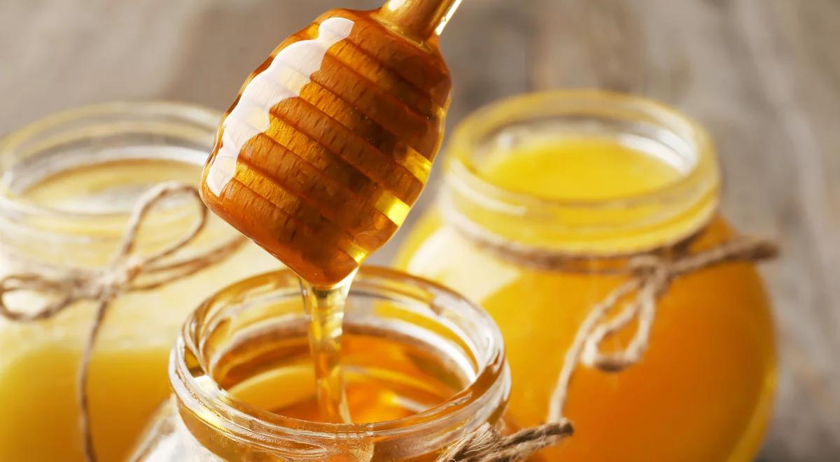 Płynne złoto. Jak powstaje miód? 