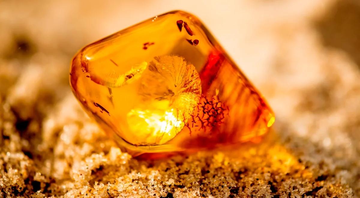 Bursztyn – najlepsza pamiątka znad polskiego morza