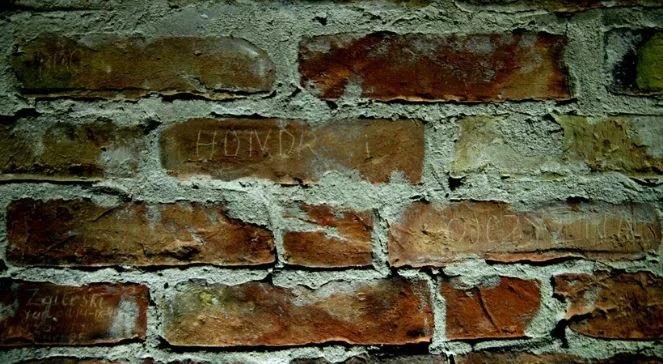 Prof. Szwagrzyk: środowiska lewicowe przypuściły atak na Żołnierzy Wyklętych