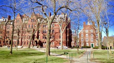 Harvard, Yale, Princeton - co zrobić, żeby tam studiować?
