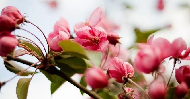 Dzień Kobiet. Krystyna Kofta o feminizmie