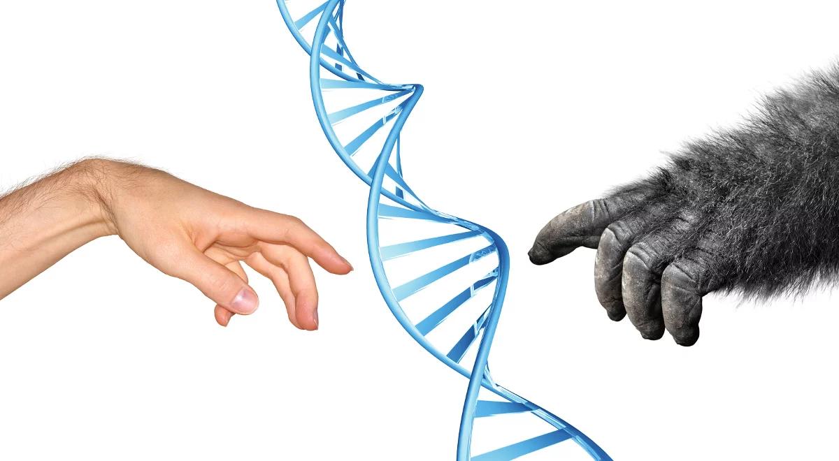 Skoro człowiek pochodzi od małpy, to dlaczego nie mamy ogonów?