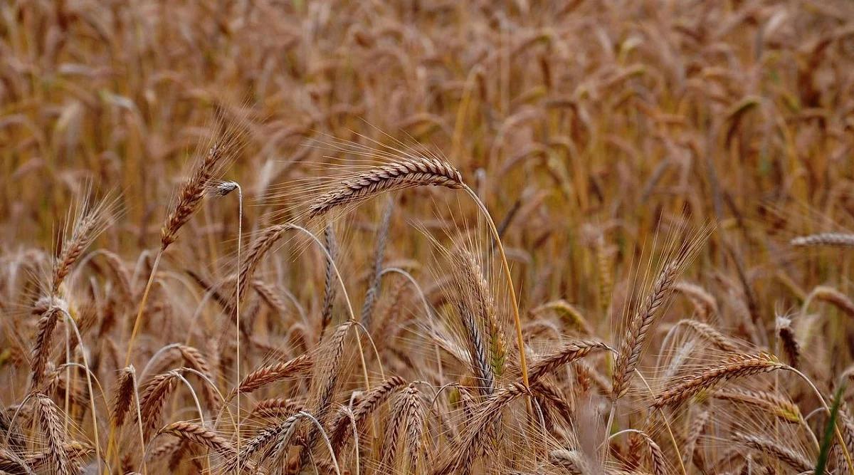 Unia Europejska w sprawie nowych przepisów dotyczących energii